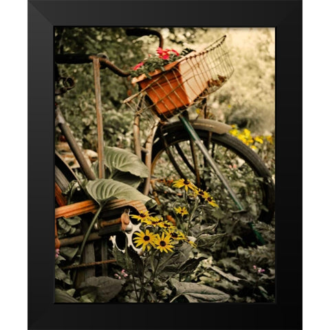 In the Fields I Black Modern Wood Framed Art Print by Nawrocke, Bruce