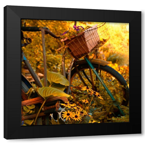 Garden Bike Black Modern Wood Framed Art Print with Double Matting by Nawrocke, Bruce