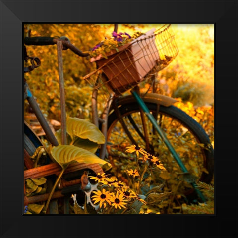 Garden Bike Black Modern Wood Framed Art Print by Nawrocke, Bruce