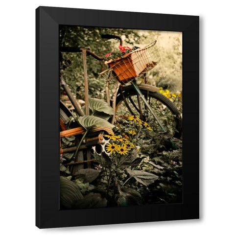 In the Fields I Black Modern Wood Framed Art Print by Nawrocke, Bruce