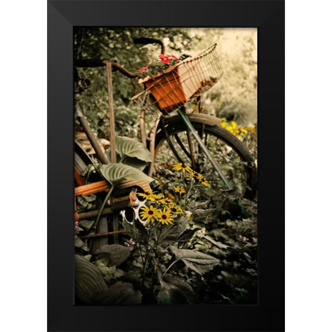 In the Fields I Black Modern Wood Framed Art Print by Nawrocke, Bruce