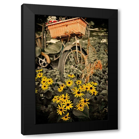 In the Fields II Black Modern Wood Framed Art Print with Double Matting by Nawrocke, Bruce