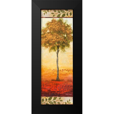 The Way of Nature II Black Modern Wood Framed Art Print by Marcon, Michael