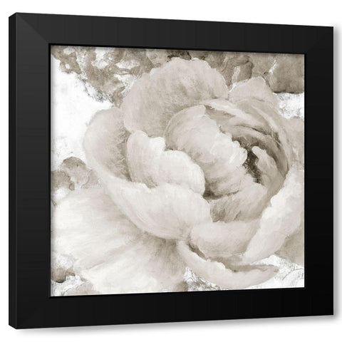 Light Grey Flowers II Black Modern Wood Framed Art Print by Loreth, Lanie