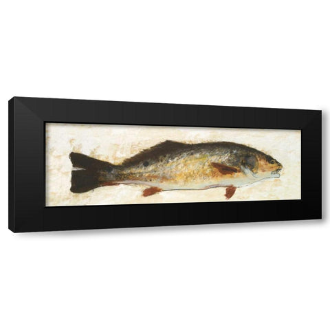 Catch of the Day I Black Modern Wood Framed Art Print by Johnson, Walt