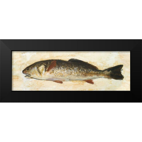 Catch of the Day II Black Modern Wood Framed Art Print by Johnson, Walt