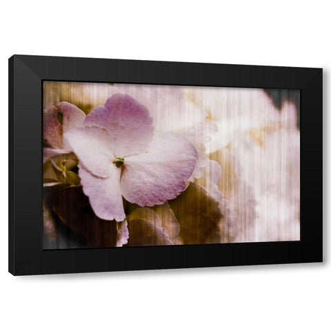 Summer Home I Black Modern Wood Framed Art Print by Slivka, Jane