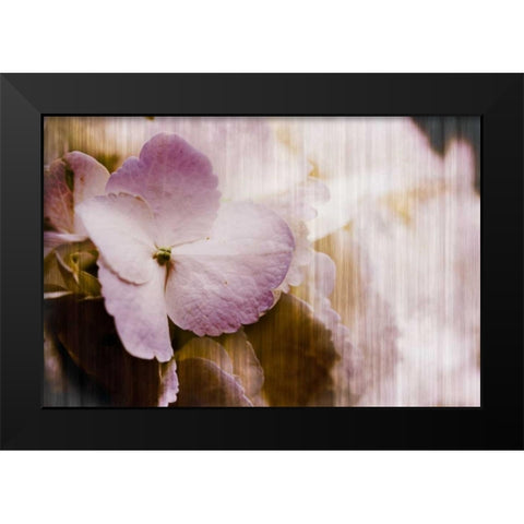 Summer Home I Black Modern Wood Framed Art Print by Slivka, Jane