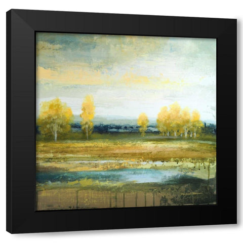 Marsh Lands II Black Modern Wood Framed Art Print with Double Matting by Marcon, Michael