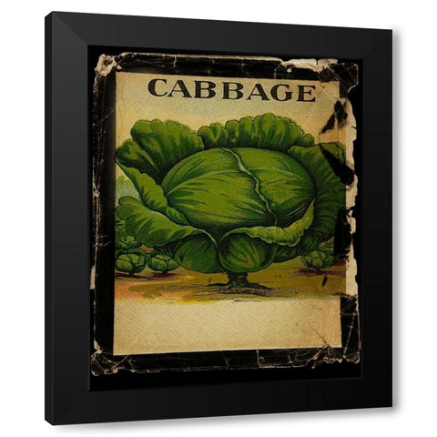 Vintage Cabbage Black Modern Wood Framed Art Print with Double Matting by Albert, Beth