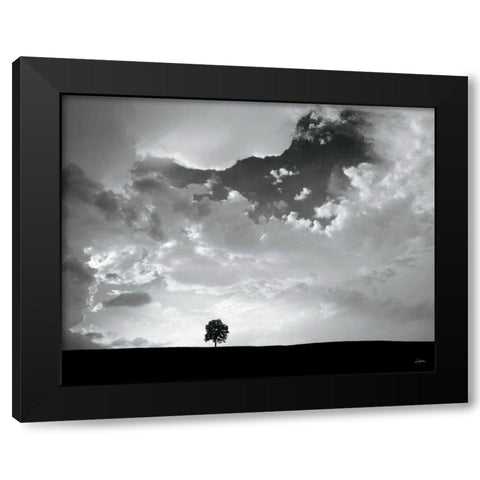 Lone Tree Black Modern Wood Framed Art Print by Aledanda