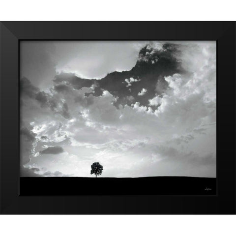 Lone Tree Black Modern Wood Framed Art Print by Aledanda