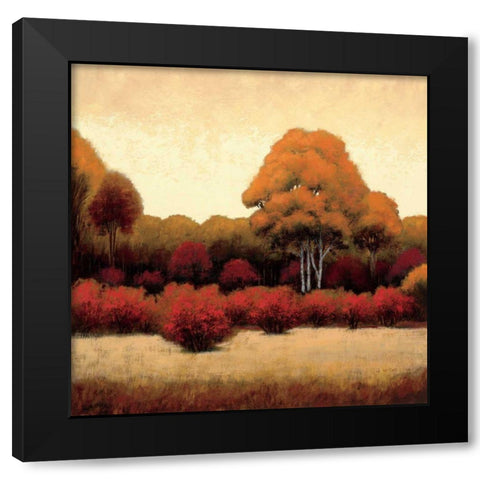 Autumn Forest I Black Modern Wood Framed Art Print by Wiens, James