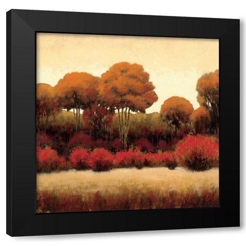 Autumn Forest II Black Modern Wood Framed Art Print by Wiens, James