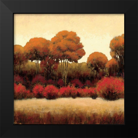 Autumn Forest II Black Modern Wood Framed Art Print by Wiens, James