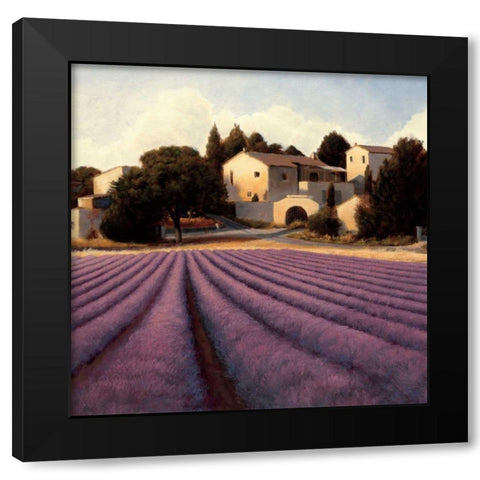 Lavender Fields I Black Modern Wood Framed Art Print with Double Matting by Wiens, James