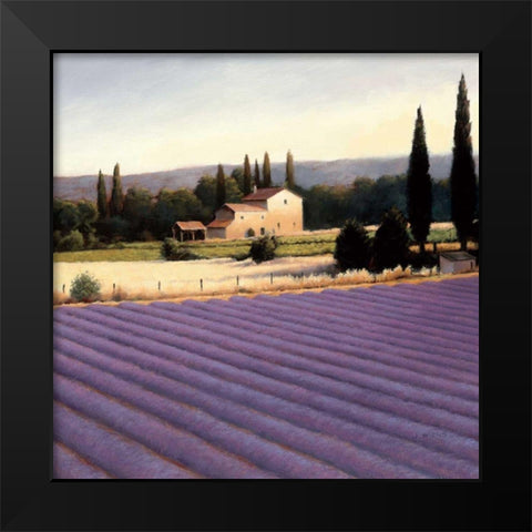 Lavender Fields II Black Modern Wood Framed Art Print by Wiens, James