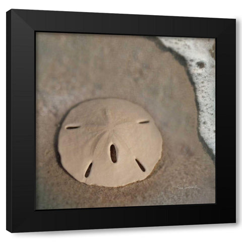 Sand Surf Sand Dollar Black Modern Wood Framed Art Print by Schlabach, Sue