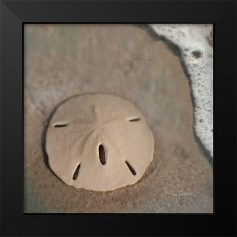 Sand Surf Sand Dollar Black Modern Wood Framed Art Print by Schlabach, Sue