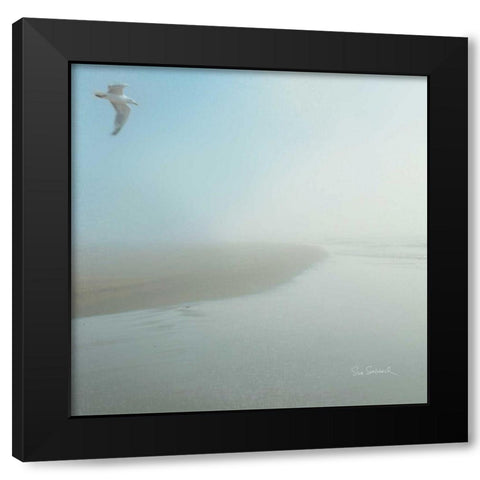 Seagull Morning Black Modern Wood Framed Art Print with Double Matting by Schlabach, Sue