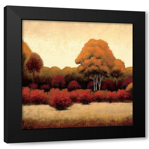 Autumn Forest I Black Modern Wood Framed Art Print with Double Matting by Wiens, James