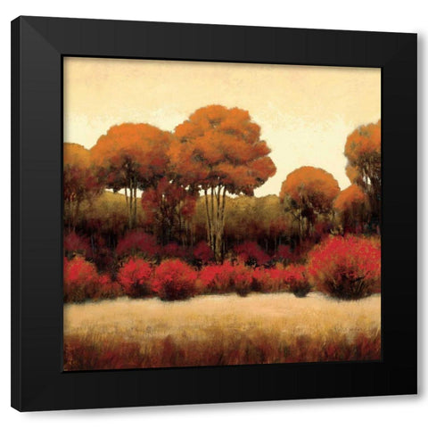 Autumn Forest II Black Modern Wood Framed Art Print with Double Matting by Wiens, James