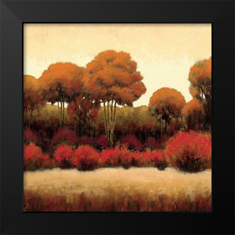 Autumn Forest II Black Modern Wood Framed Art Print by Wiens, James