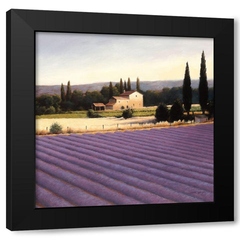 Lavender Fields II Crop Black Modern Wood Framed Art Print with Double Matting by Wiens, James