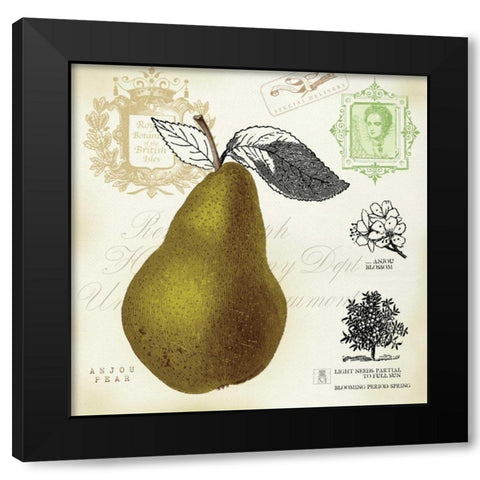 Pear Notes Black Modern Wood Framed Art Print with Double Matting by Studio Mousseau