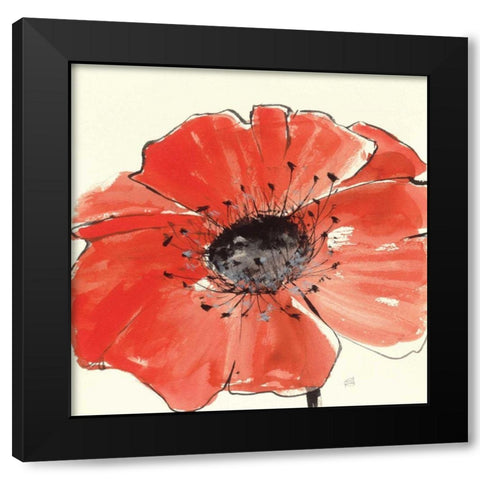 Spring Poppy IV Black Modern Wood Framed Art Print with Double Matting by Paschke, Chris