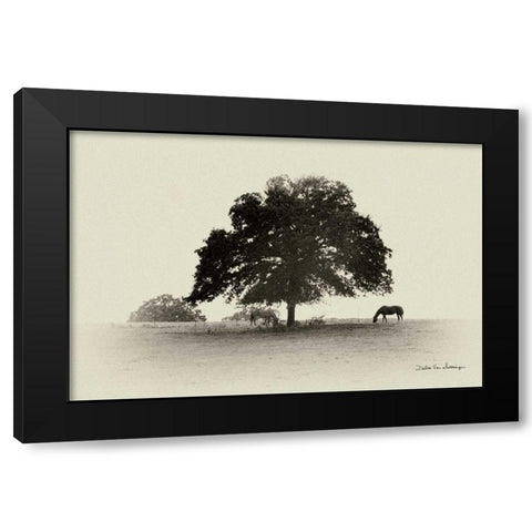 Horses and Trees I Black Modern Wood Framed Art Print by Van Swearingen, Debra