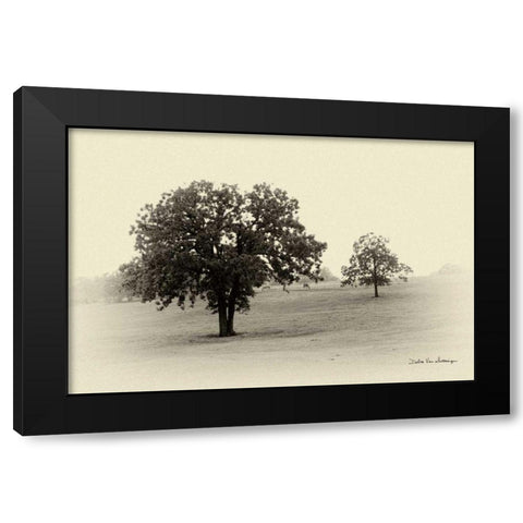 Horses and Tress II Black Modern Wood Framed Art Print by Van Swearingen, Debra