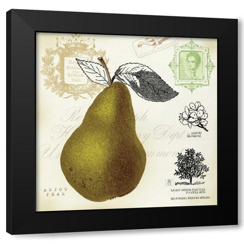 Pear Notes Black Modern Wood Framed Art Print with Double Matting by Studio Mousseau