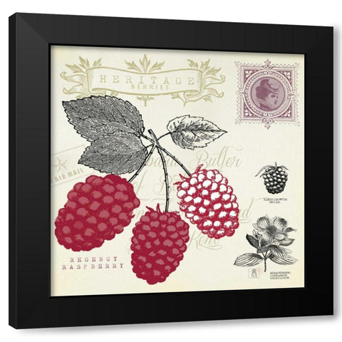 Raspberry Notes Black Modern Wood Framed Art Print with Double Matting by Studio Mousseau
