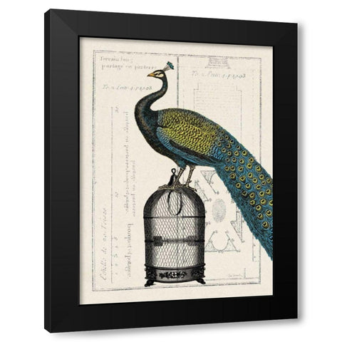 Peacock Birdcage II Black Modern Wood Framed Art Print with Double Matting by Wild Apple Portfolio