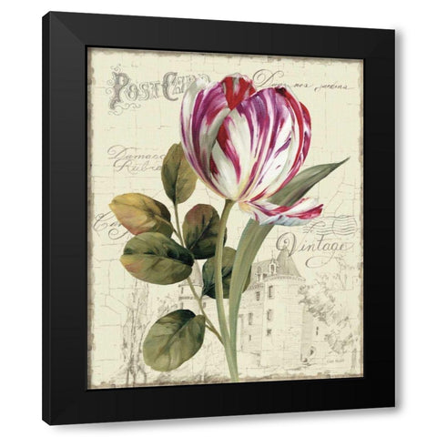 Garden View II - Tulip Black Modern Wood Framed Art Print with Double Matting by Audit, Lisa