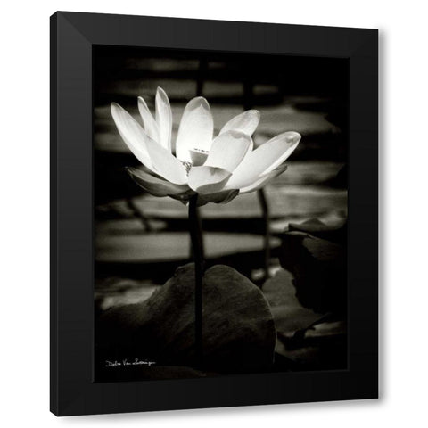 Lotus Flower VIII Black Modern Wood Framed Art Print with Double Matting by Van Swearingen, Debra
