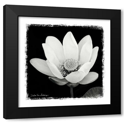 Lotus Flower I Black Modern Wood Framed Art Print by Van Swearingen, Debra
