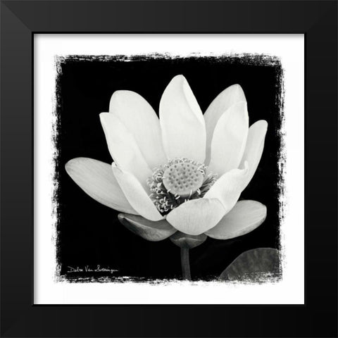 Lotus Flower I Black Modern Wood Framed Art Print by Van Swearingen, Debra