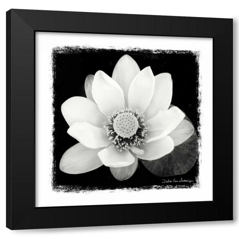 Lotus Flower II Black Modern Wood Framed Art Print by Van Swearingen, Debra