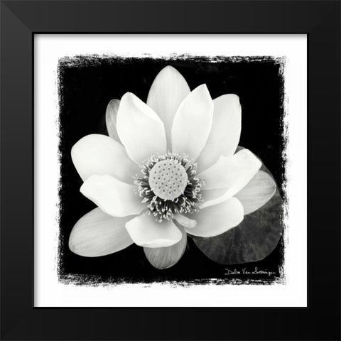 Lotus Flower II Black Modern Wood Framed Art Print by Van Swearingen, Debra