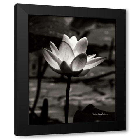 Lotus Flower VII Black Modern Wood Framed Art Print by Van Swearingen, Debra