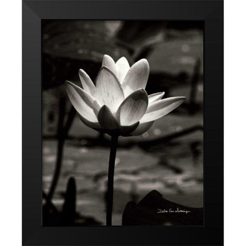 Lotus Flower VII Black Modern Wood Framed Art Print by Van Swearingen, Debra