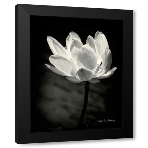 Lotus Flower X Black Modern Wood Framed Art Print by Van Swearingen, Debra