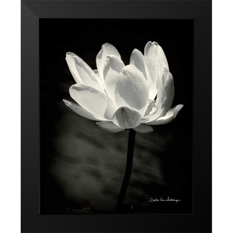 Lotus Flower X Black Modern Wood Framed Art Print by Van Swearingen, Debra