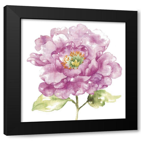 Water Flower I Black Modern Wood Framed Art Print by Wild Apple Portfolio