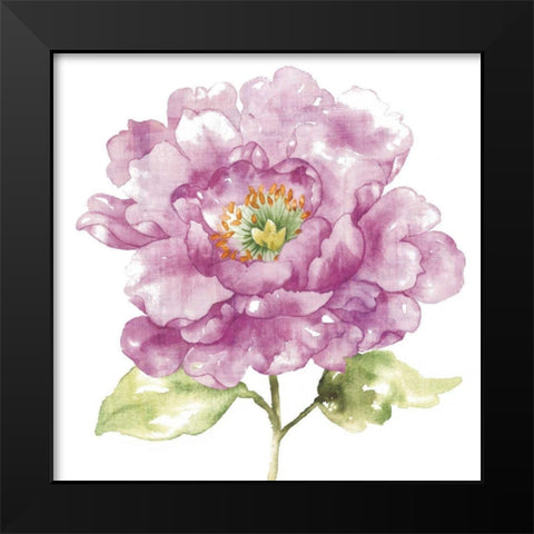 Water Flower I Black Modern Wood Framed Art Print by Wild Apple Portfolio