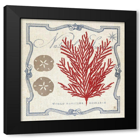 Pacific Sea Fern Black Modern Wood Framed Art Print with Double Matting by Studio Mousseau