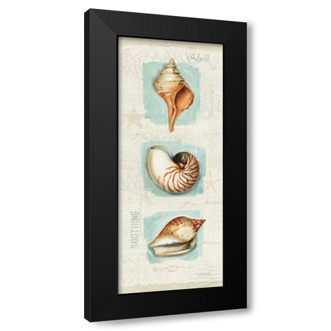 Coastal Jewels Panel II Black Modern Wood Framed Art Print with Double Matting by Audit, Lisa