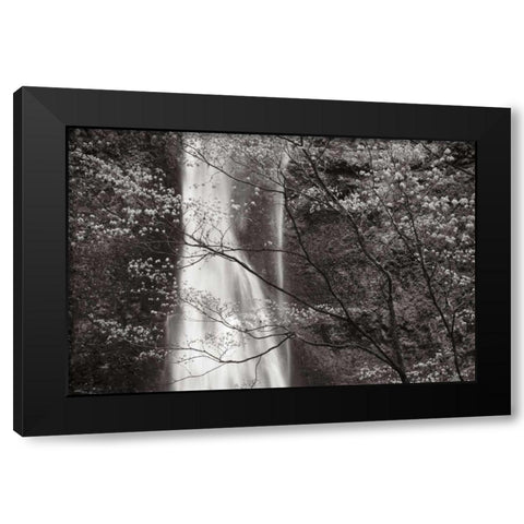 Double Falls II Black Modern Wood Framed Art Print by Audit, Lisa